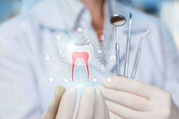 Professional Dental Services in Walker Valley, NY